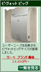 �ӥ����åȥӥå�