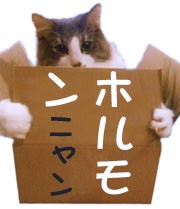 �ۥ�����˥���