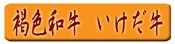 �쿧�µ�����������