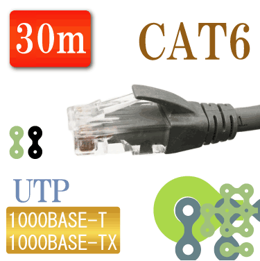 CAT6LAN�����֥�30�᡼�ȥ�