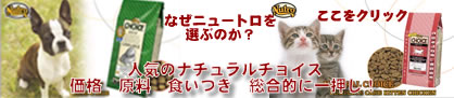 �˥塼�ȥ�