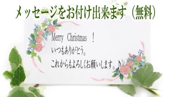 ʸ�����Ƥϱ��嵭�����ľ�ܽ񤭹��ߤ������������֤�Ʊ�����ƥ�å��������Ϥ����ޤ���