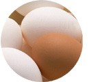 卵殻イメージ