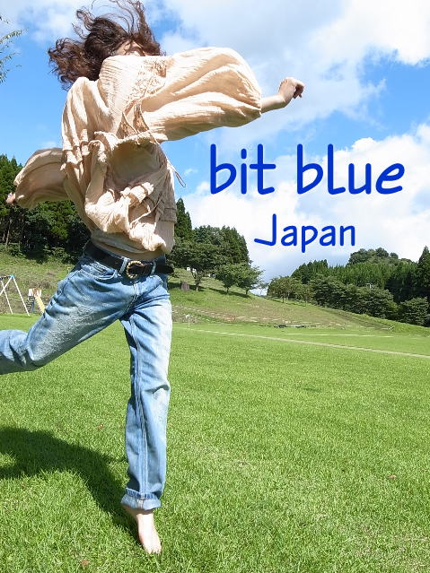 bit blue �ӥåȥ֥롼