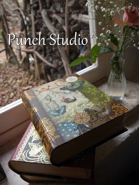Punch Studio���ѥ����������