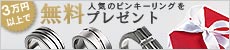 �ԥ󥭡���󥰥ץ쥼���