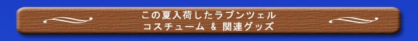 �ǥ����ˡ��ǲ衡��ξ�Υ�ץ�ĥ����ý�