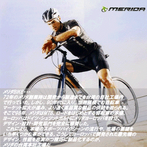 MERIDA����ʸ
