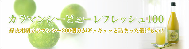 ����ޥ󥷡��ԥ塼��ե�å���100