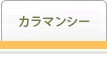 ����ޥ󥷡��ԥ塼��ե�å���100