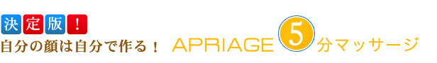 �����ǡ���ʬ�δ�ϼ�ʬ�Ǻ�룱APRIAGE5ʬ�ޥå�����