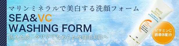 ���ץꥢ������SEA & VC�����å��󥰥ե�����