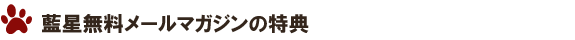 ����̵���᡼��ޥ������tokuten