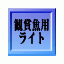 �Ѿ޵��ѥ饤��