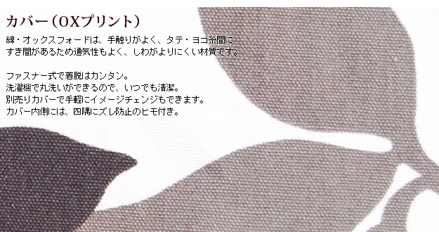 カバー説明