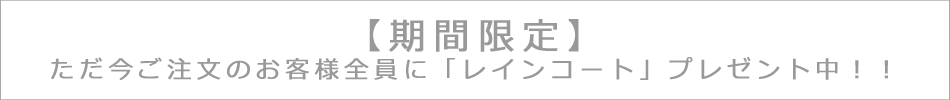 �ڴ��ָ���ۤ���������ʸ�Τ����������ˡ֥쥤�󥳡��ȡץץ쥼����桪��