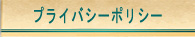 �ץ饤�Х����ݥꥷ��