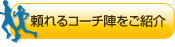 ���륳�����ؤ򤴾Ҳ�