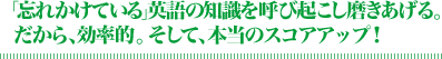 ˺�줫���Ƥ���ױѸ���μ���Ƥӵ������᤭�����롣�����顢��ΨŪ�������ơ������Υ��������åס�