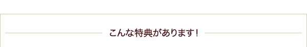 �������ŵ������ޤ���