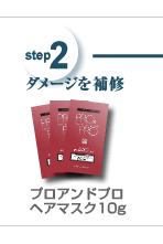 step2���᡼�����佤 �ץ�����ɥץ� �إ��ޥ���10g