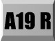 A19R