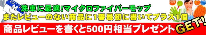 ����������ӥ塼����Ƥ�200�߰�����