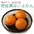 ��ͽ�� ��ɲ�������绺