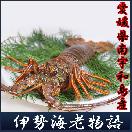��ɲ�������绺�������ι�