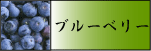 ̯��μ����������ŷ����̣�֥롼�٥꡼