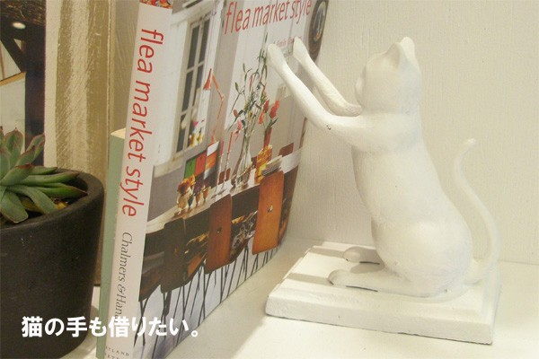 http://store.shopping.yahoo.co.jp/arne/0013a01148.html