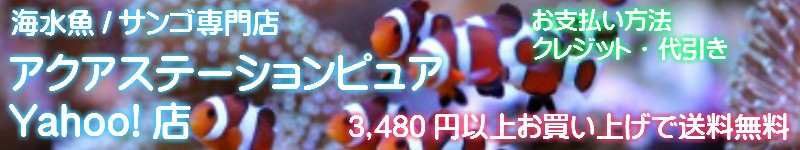 ASP Yahoo!Ź