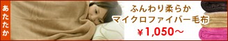 �ޥ������ե����С�����