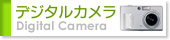 �ǥ����륫���