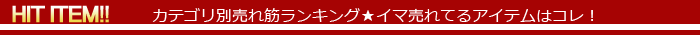��󥭥󥰡�swany ����ˡ�