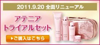 �ȥ饤���륻�å�
