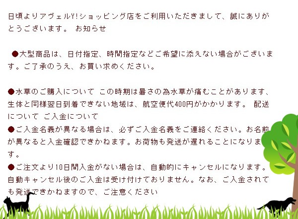 夏季休暇について