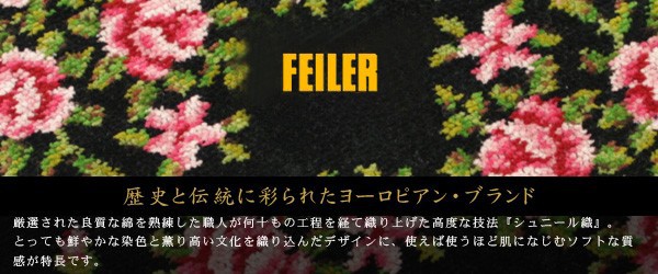 FEILER�ե����顼