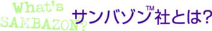 サンバゾン(SAMBAZON)
