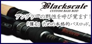ValleyHill/�Х졼�ҥ롡Black scale/�֥�å���������