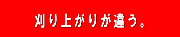 �ǡ������ѥХ��ͥ��Хꥫ�󼰼Ǵ��굡