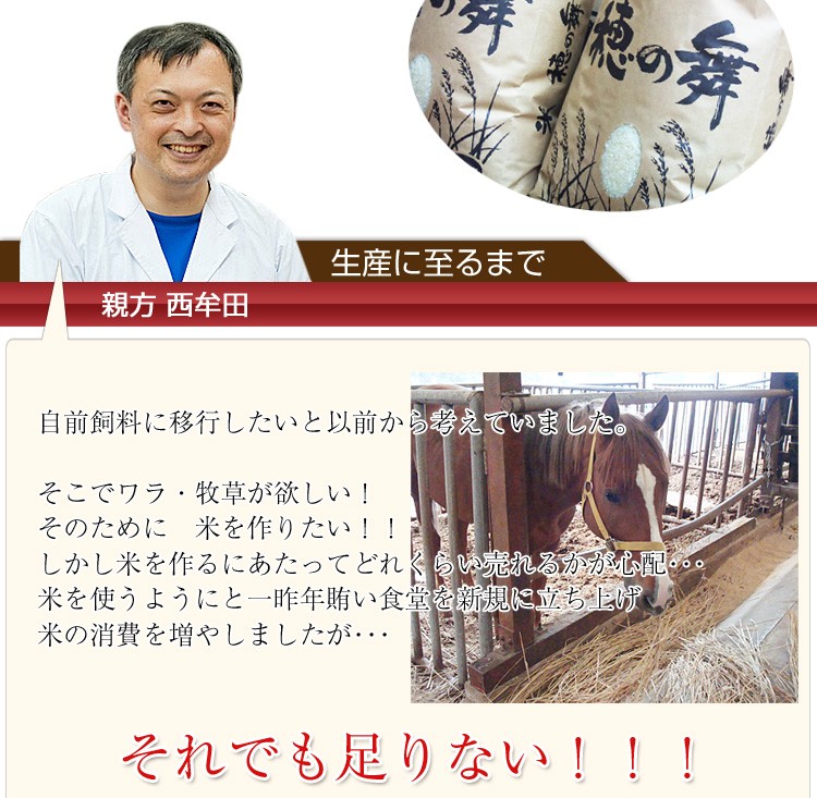 �彣�û��ʤ��ޤ�������ơ�����������ʿ�β��Ͽ̡��߱��ò�