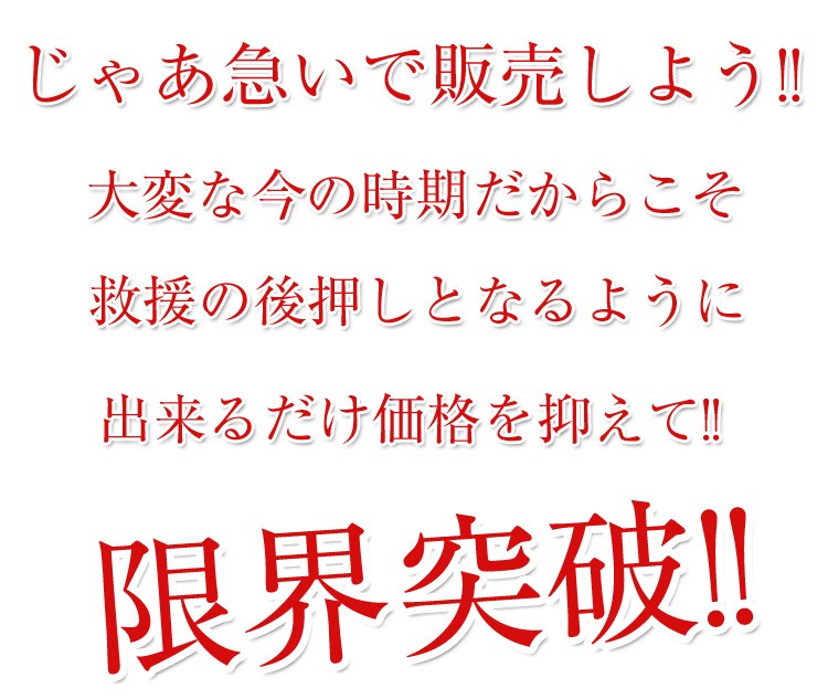 �彣�û��ʤ��ޤ�������ơ�����������ʿ�β��Ͽ̡��߱��ò�