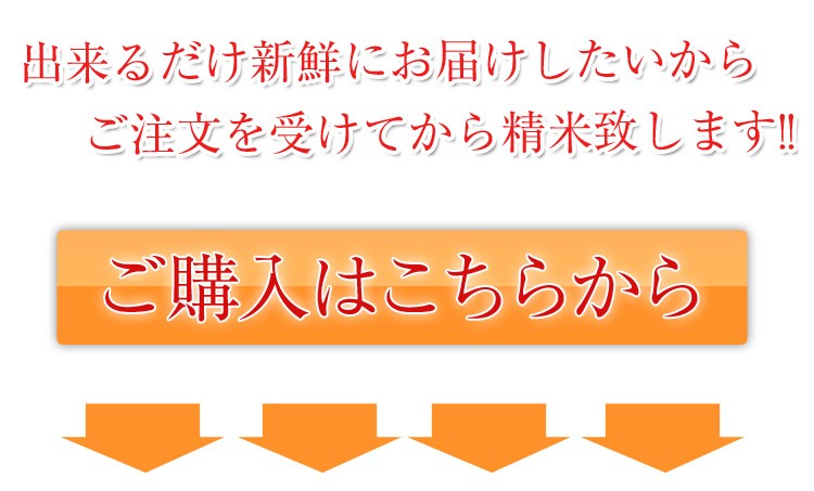 �彣�û��ʤ��ޤ�������ơ�����������ʿ�β��Ͽ̡��߱��ò�