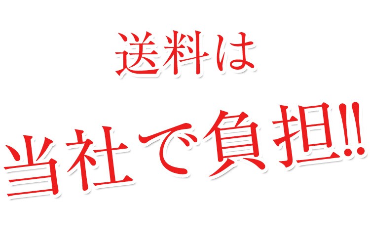 �彣�û��ʤ��ޤ�������ơ�����������ʿ�β��Ͽ̡��߱��ò�