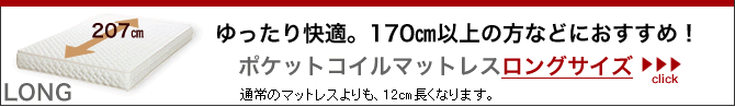 �ݥ��åȥ�����ޥåȥ쥹 ���󥰥�����