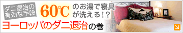 �衼���åѤΥ����༣
