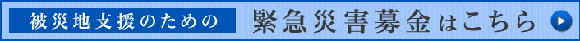 ������罸