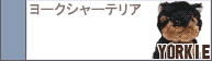 �衼����