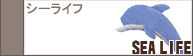 �����饤��